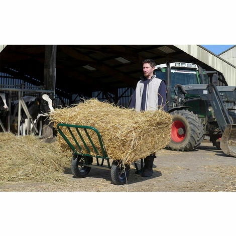 BROUETTE HAEMMERLIN PRO SELECT AGRICOLA 2 ROUES GONFLÉES -302075701-- - Vert 2 BROUETTE HAEMMERLIN PRO SELECT AGRICOLA 2 ROUES GONFLÉES -302075701-- - Vert – Image 2