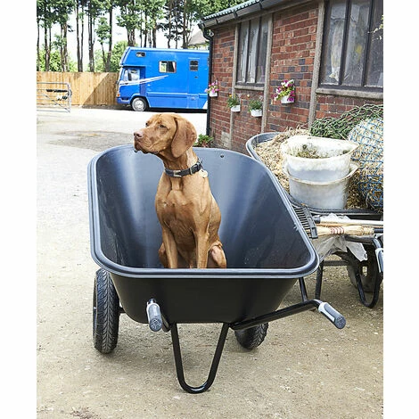 Brouette HAEMMERLIN EXPERT TWIN EXCELLIUM 300L Polypro Roues Gonflées Noire - 306060001-- - Noir 2 Brouette HAEMMERLIN EXPERT TWIN EXCELLIUM 300L Polypro Roues Gonflées Noire - 306060001-- - Noir – Image 2