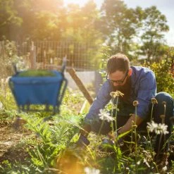 Relaxdays Brouette De Jardin, Avec Roue En Caoutchouc, Acier Et Polyester, 46 Litres, Pliable, HLP : 71x110x62 Cm, Bleue -chariot de jardin Soldes 2024 40317359 4