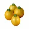 FABRE GRAINES COURGETTE FLORIDOR F1