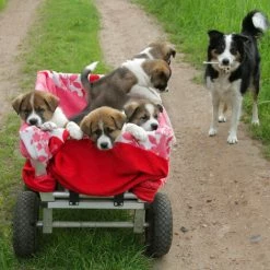 Relaxdays Roue De Diable Set De 2 Roues De Brouette, Roue De Rechange Axe,3.00-4 , Caoutchouc 260x85 Mm 80 Kg, Noir Gris -chariot de jardin Soldes 2024 52202294 5