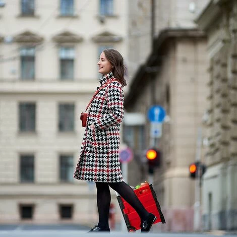 BENOBBY KIDS Chariot De Courses Pliable, Poignée, Roulettes En Caoutchouc, Poussette De Marché, Aluminium, Rouge, Plastique, 3 BENOBBY KIDS Chariot De Courses Pliable, Poignée, Roulettes En Caoutchouc, Poussette De Marché, Aluminium, Rouge, Plastique, â Image 3